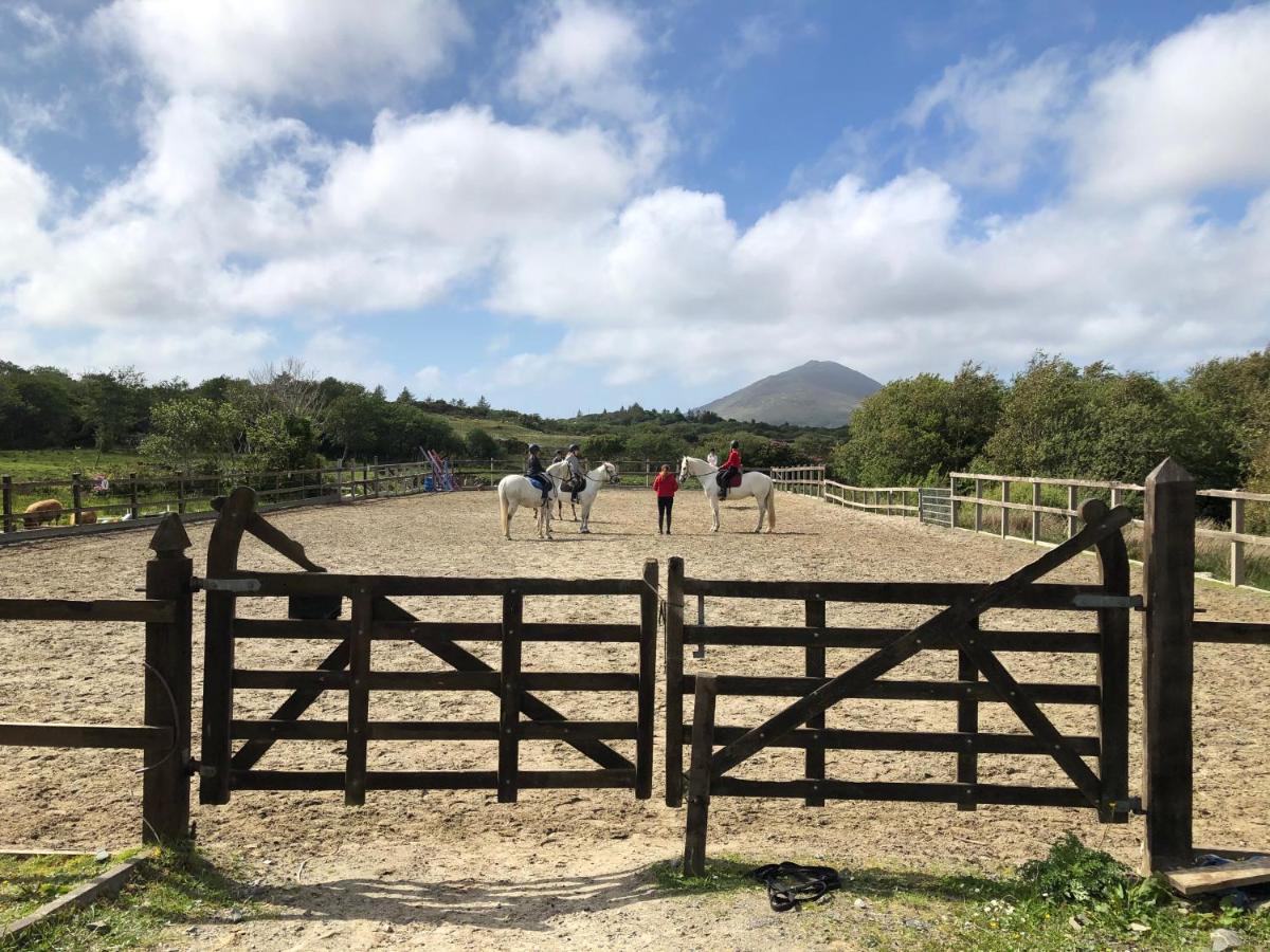 Letterfrack Farm Lodge House In Letterfrack Village Connemara מראה חיצוני תמונה